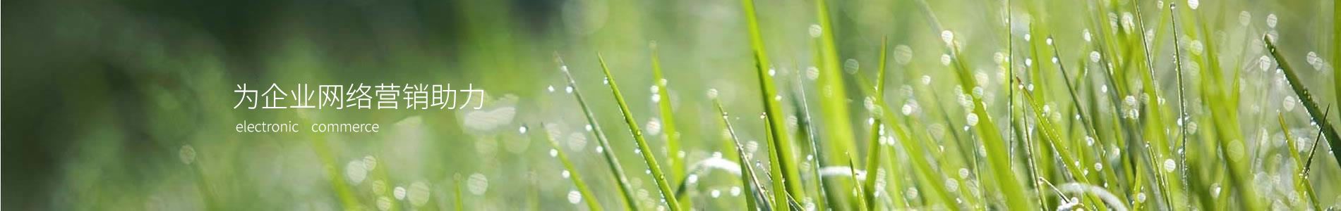 εƼݣ޹˾